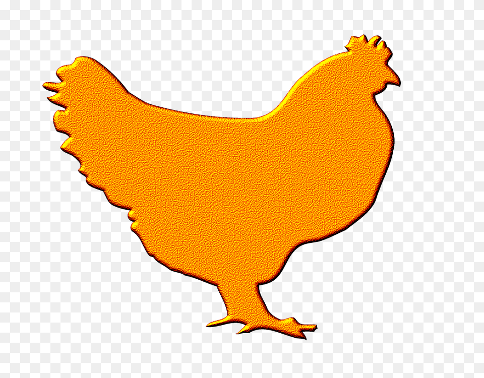 Yellow And Red Nosi Style Hen Hen Graphic, Animal, Bird, Chicken, Fowl Png Image