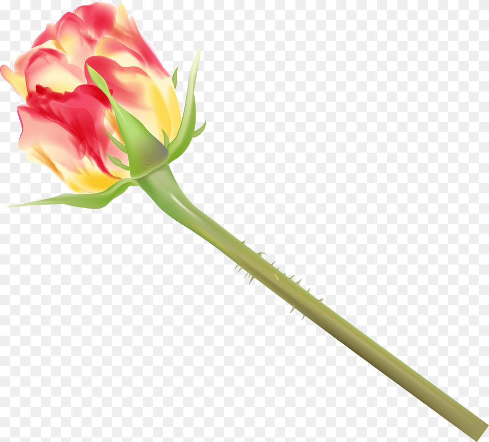 Yellow And Red Rose Bud Clipart Image Rose, Flower, Plant Png