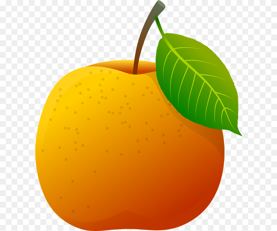 Yellow Apple Clipart Download Transparent Creazilla Fruit, Food, Plant, Produce, Apricot Png