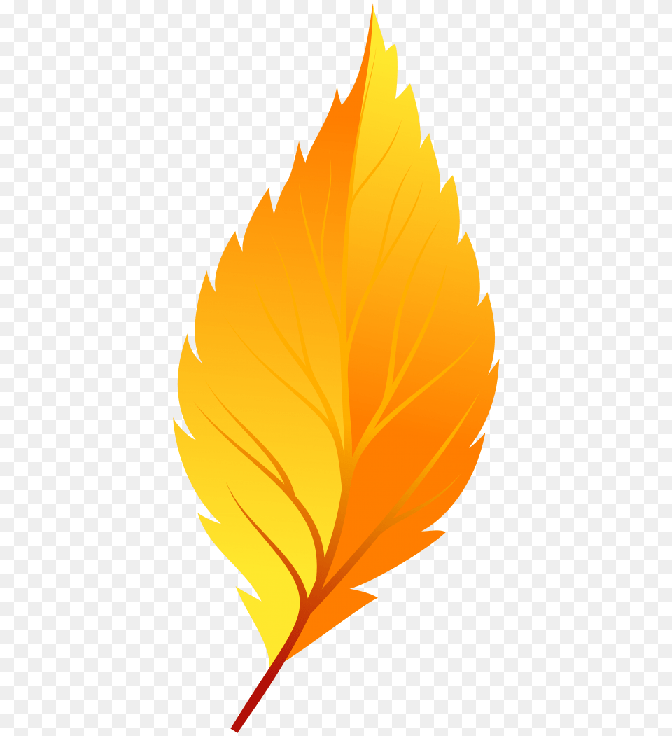 Yellow Autumn Leaf, Plant, Person, Tree, Maple Leaf Free Transparent Png