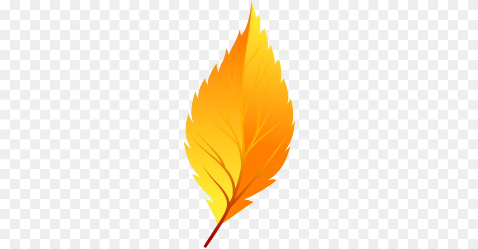 Yellow Autumn Leaf Clip Art, Plant, Person, Maple Leaf, Tree Free Png