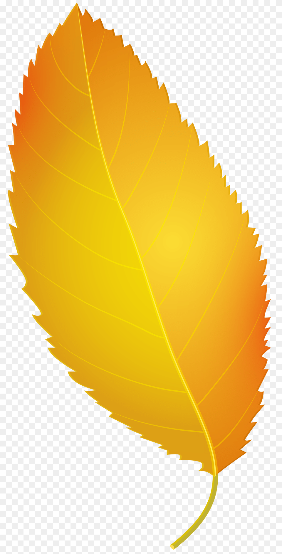 Yellow Autumn Leaf Clip Art Yellow Fall Leaves Clipart, Plant Png