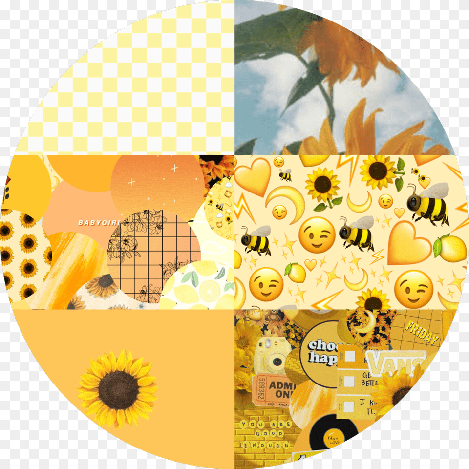 Yellow Background Aesthetics Aesthetic Aesthetic Yellow Backgrounds, Flower, Plant, Sunflower, Art Free Png Download