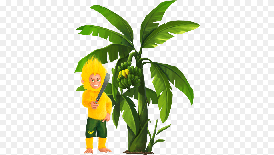 Yellow Banana Plantations, Food, Fruit, Plant, Produce Free Transparent Png