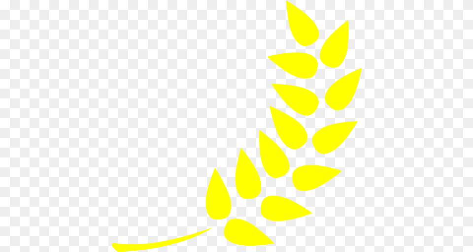 Yellow Barley Icon, Flower, Leaf, Petal, Plant Png