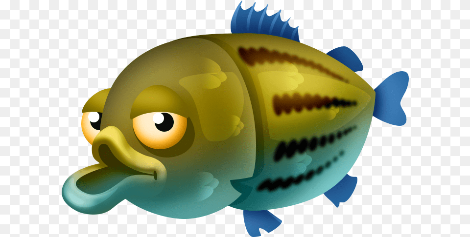 Yellow Bass Fish, Animal, Sea Life Png Image