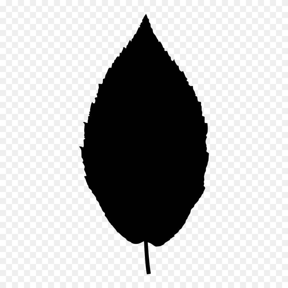 Yellow Birch Leaf Silhouette, Plant Png