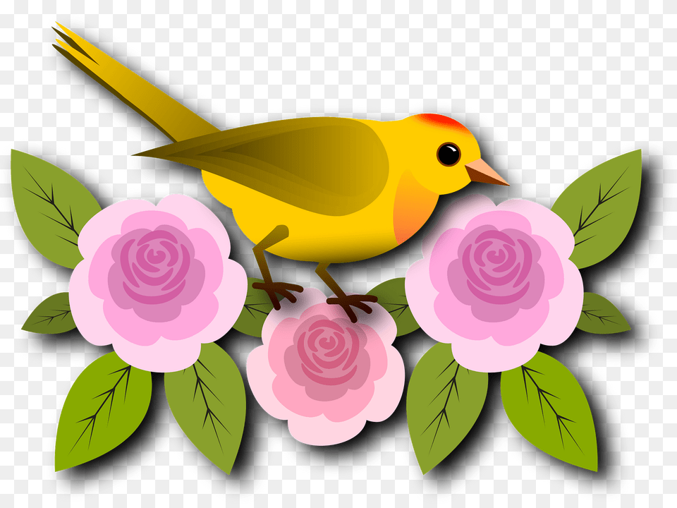 Yellow Bird Perched On Pink Flowers Clipart, Animal, Finch, Canary Free Transparent Png
