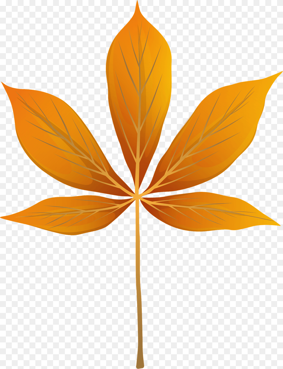 Yellow Buckeye Autumn Leaf Clipart, Plant, Tree Free Png Download