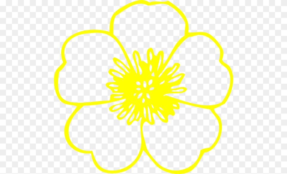 Yellow Buttercup Flower Svg Clip Arts Flower, Anemone, Anther, Daisy, Petal Free Transparent Png