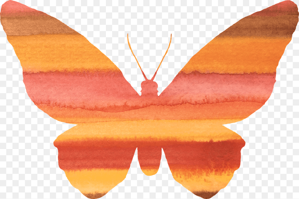 Yellow Butterfly, Animal, Insect, Invertebrate, Moth Png