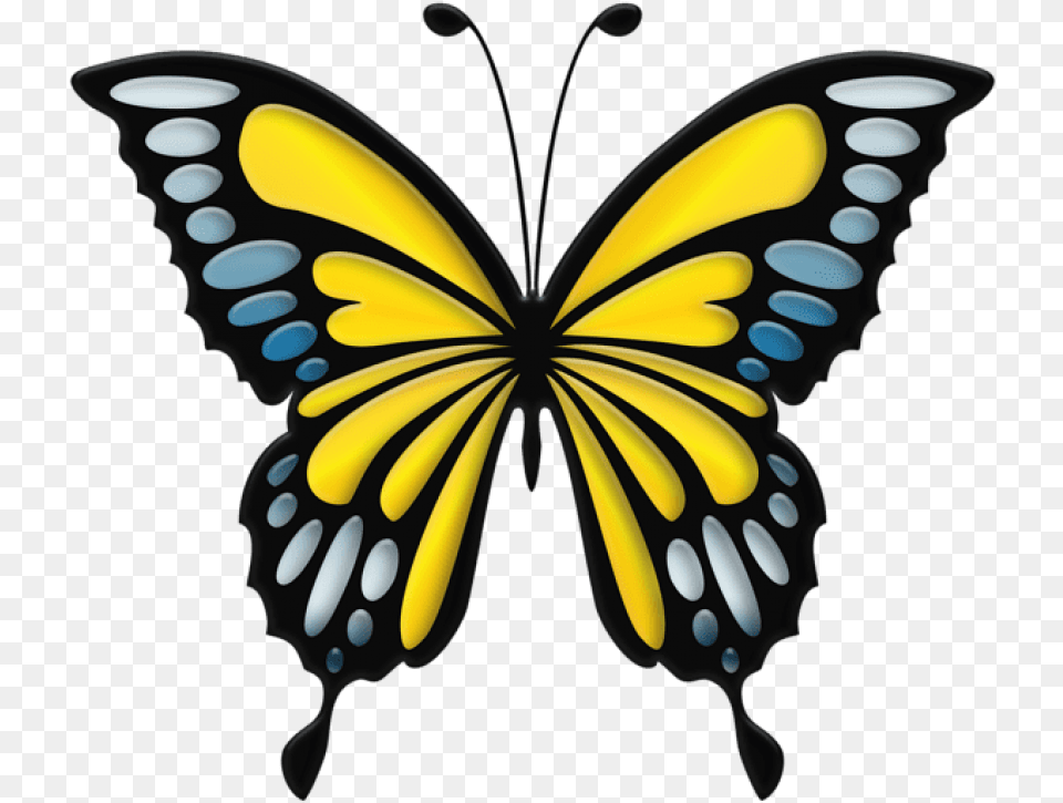 Yellow Butterfly Blue Butterfly Clip Art, Animal, Insect, Invertebrate Free Png Download