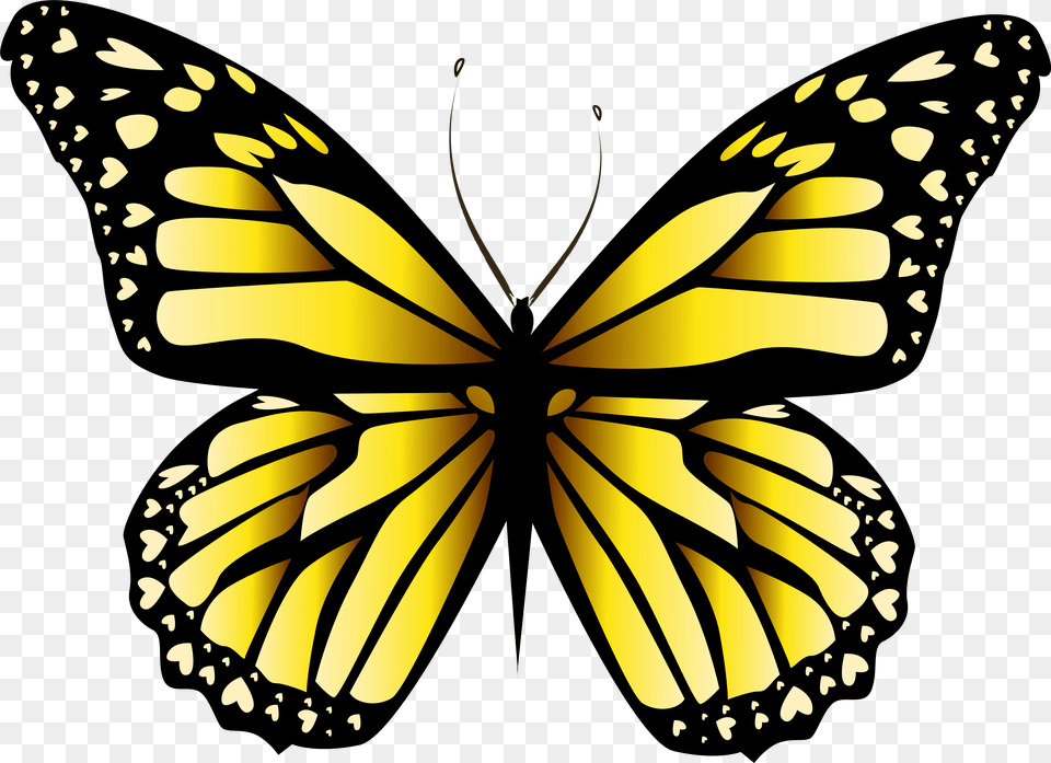 Yellow Butterfly Clipar Yellow Butterfly, Animal, Insect, Invertebrate, Monarch Png Image