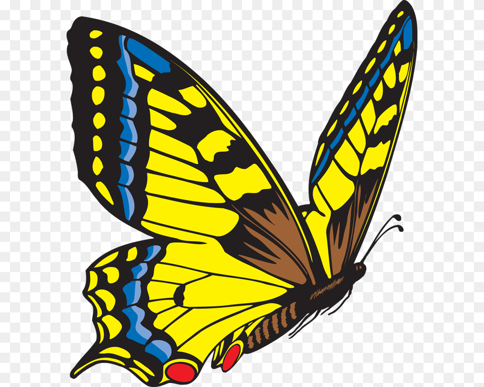 Yellow Butterfly Clipart, Animal, Insect, Invertebrate Png