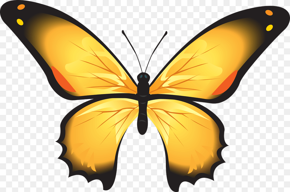 Yellow Butterfly Clipart, Animal, Insect, Invertebrate, Appliance Free Transparent Png