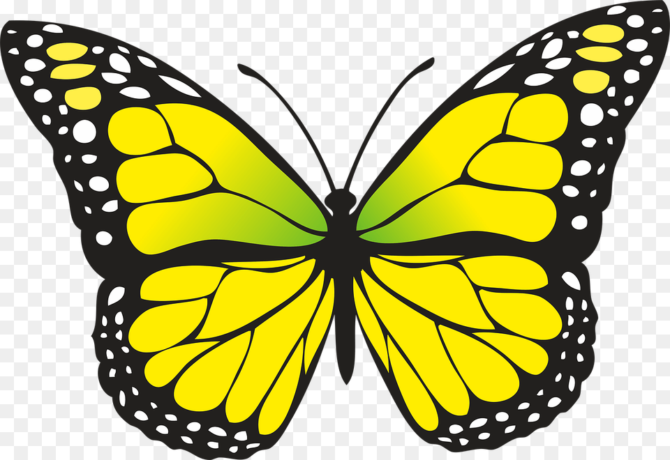 Yellow Butterfly Clipart, Animal, Insect, Invertebrate, Monarch Free Png Download
