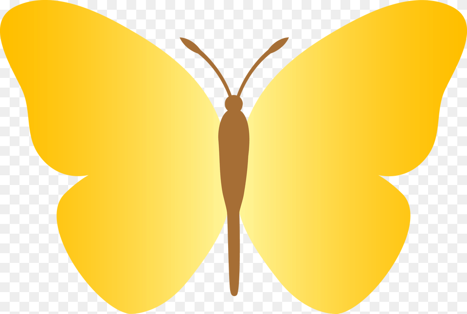 Yellow Butterfly Clipart Butterfly Of Plain Yellow Colour, Animal, Insect, Invertebrate, Moth Free Transparent Png