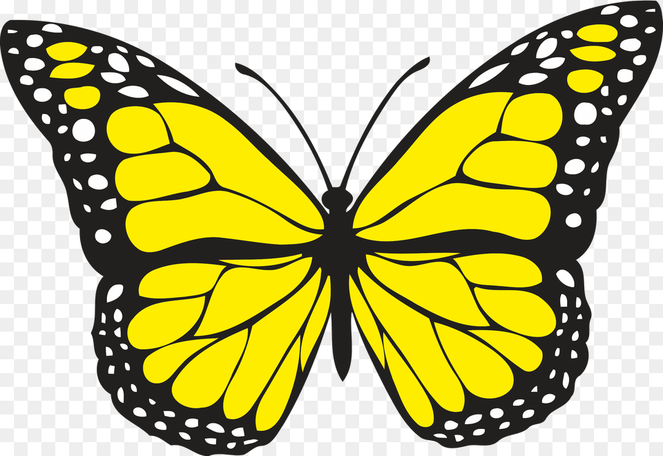 Yellow Butterfly Clipart Clipart Free Download Yellow Butterfly Clipart, Animal, Insect, Invertebrate, Monarch Png