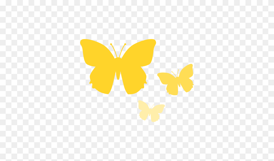 Yellow Butterfly Clipart Free Download Clip Art, Daffodil, Flower, Plant, Petal Png Image