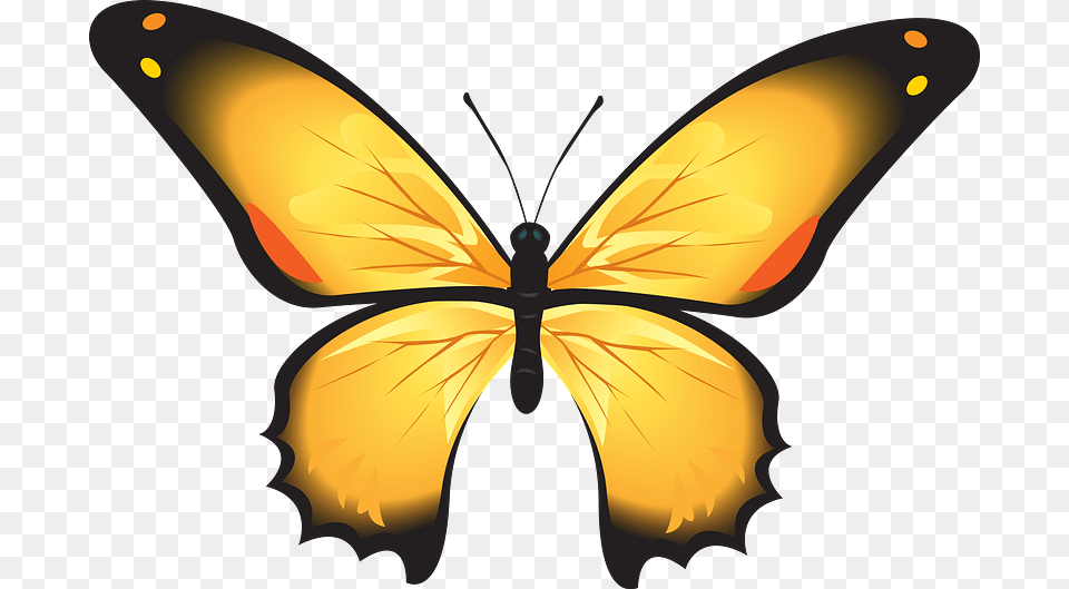 Yellow Butterfly Clipart Gambar Kupu Kupu, Animal, Insect, Invertebrate, Appliance Png Image