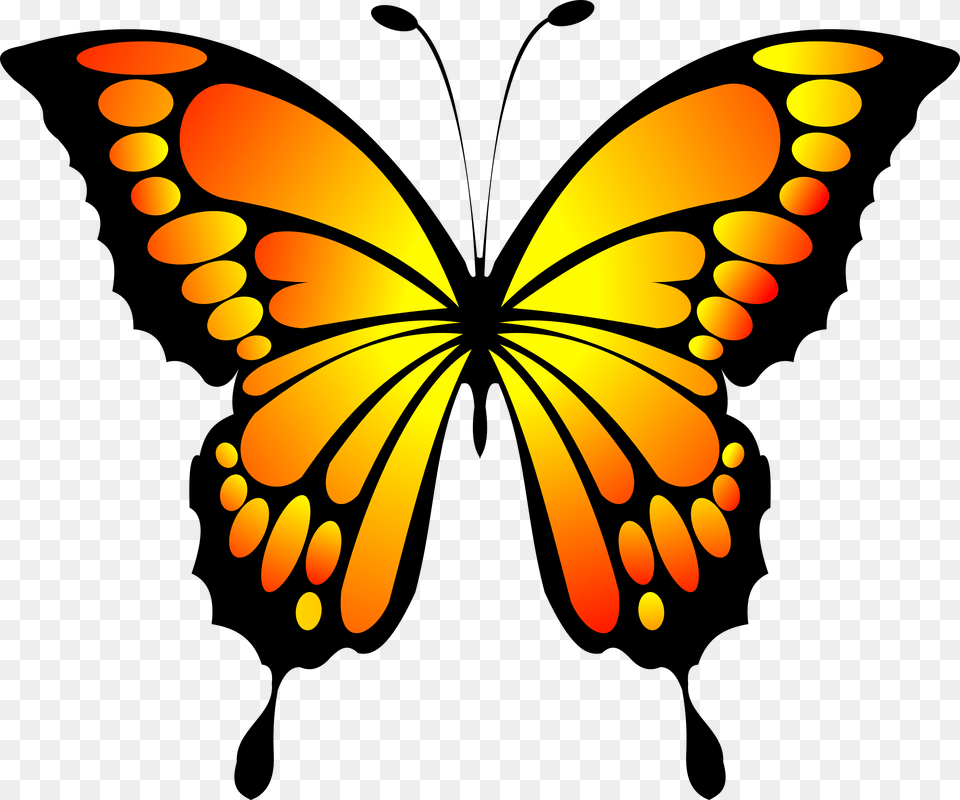 Yellow Butterfly Clipart Group With Items, Animal, Insect, Invertebrate, Monarch Free Transparent Png