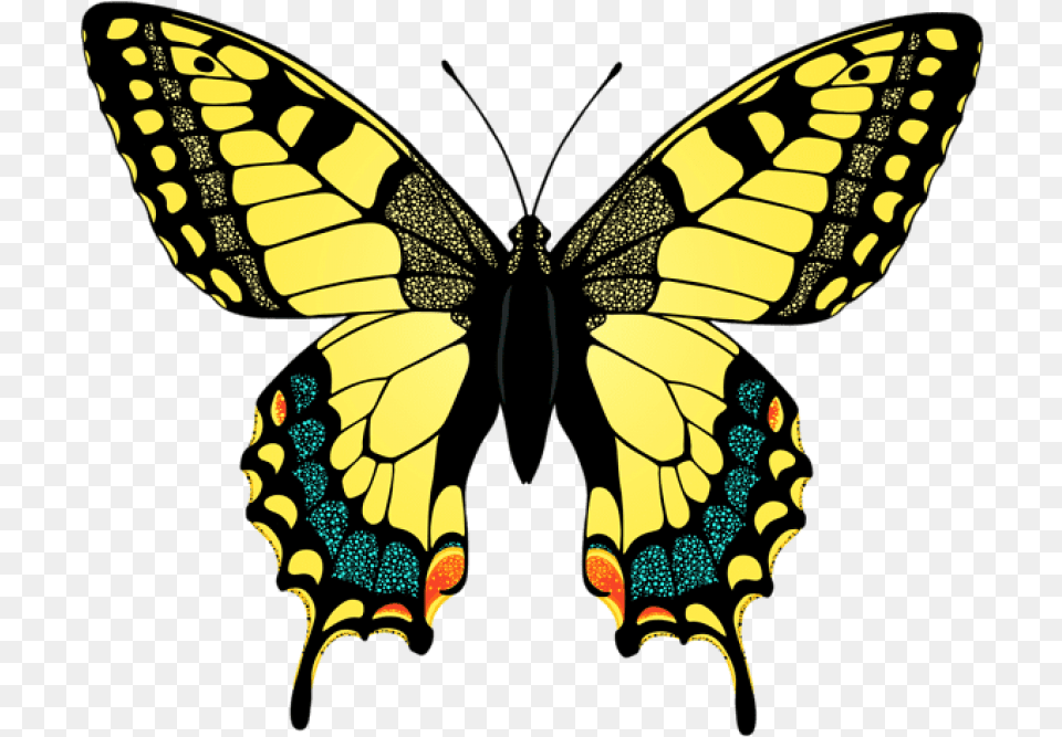 Yellow Butterfly Clipart Photo Swallowtail Butterfly Clip Art, Animal, Insect, Invertebrate, Dinosaur Free Transparent Png
