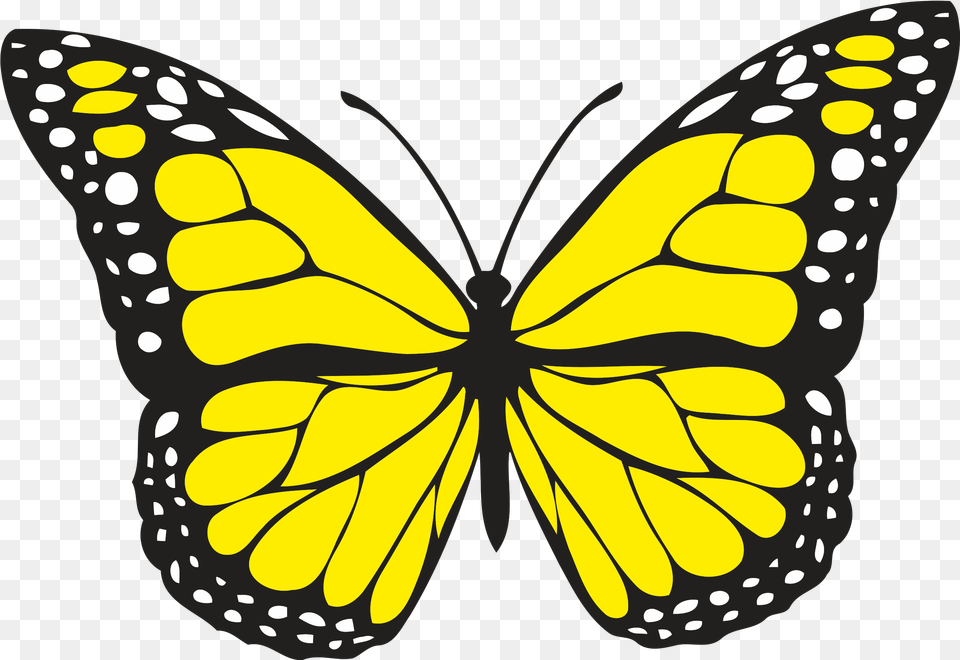 Yellow Butterfly Download Clipart Yellow Butterfly, Animal, Insect, Invertebrate, Monarch Png Image