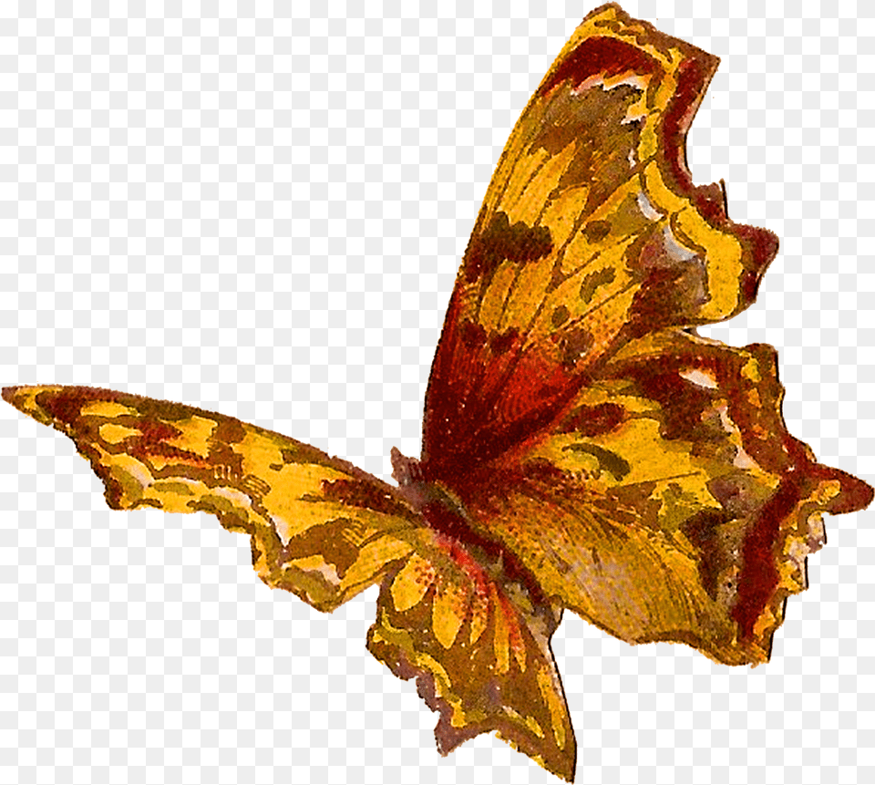 Yellow Butterfly Painting Butterfly, Animal, Insect, Invertebrate Png Image