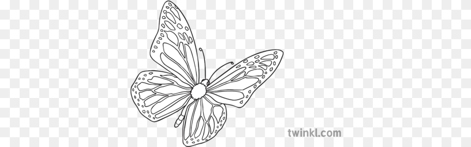 Yellow Butterfly Open Eyes Story Character Farm Animal Butterfly, Flower, Plant, Art, Appliance Free Transparent Png