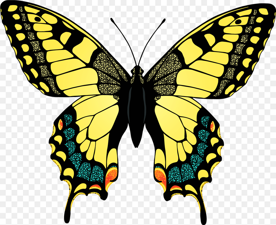 Yellow Butterfly Photo, Animal, Insect, Invertebrate, Person Png Image