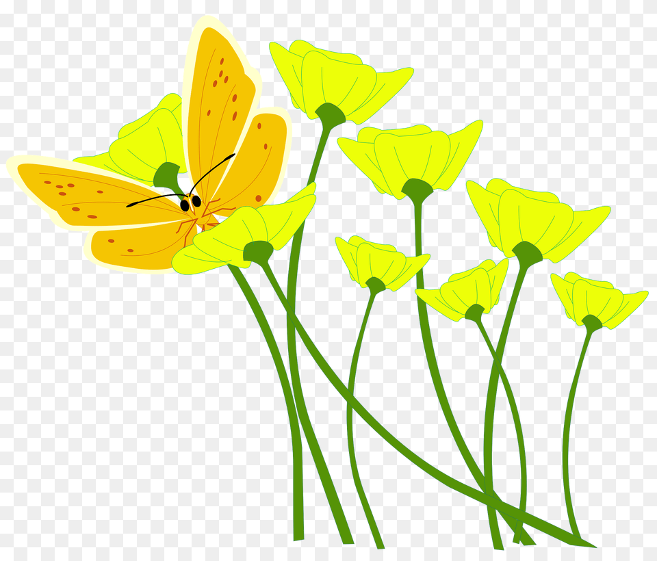 Yellow Butterfly Resting On Wildflowers Clipart, Anther, Flower, Petal, Plant Png Image
