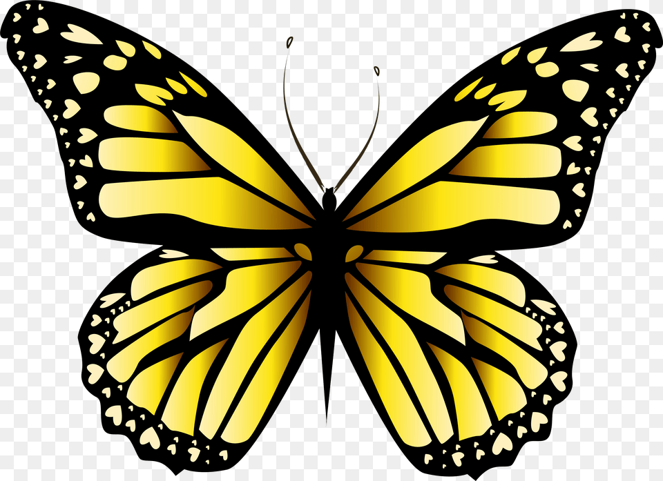 Yellow Butterfly Animal, Insect, Invertebrate, Monarch Free Transparent Png