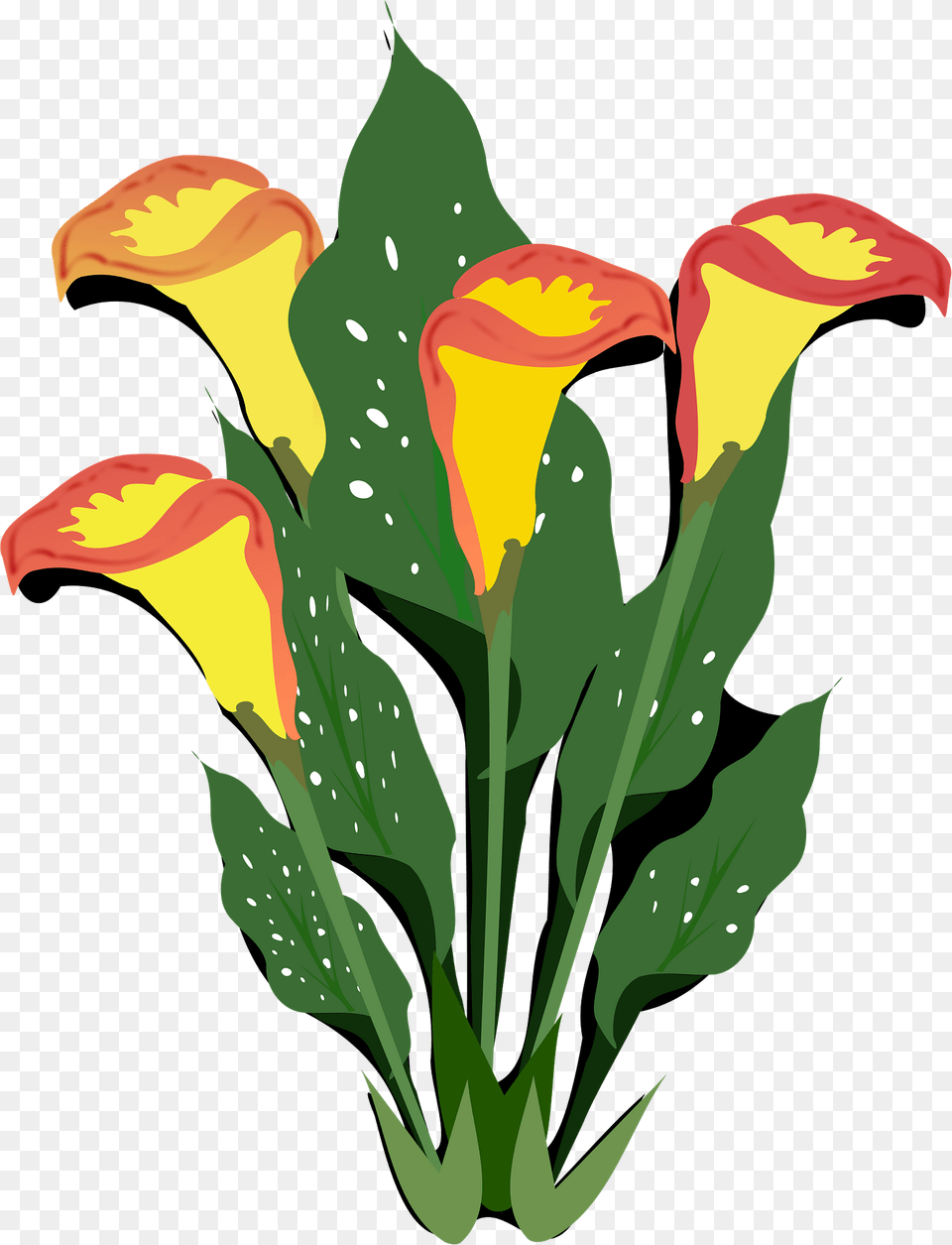 Yellow Calla Lilies Clipart, Flower, Plant, Petal, Flower Arrangement Free Png Download