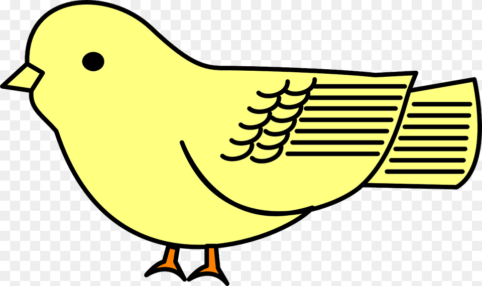Yellow Cartoon Bird Transparent, Animal, Baby, Canary, Person Png