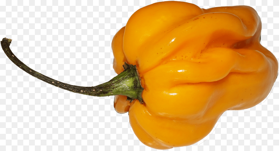 Yellow Chili Chili, Bell Pepper, Food, Pepper, Plant Free Transparent Png