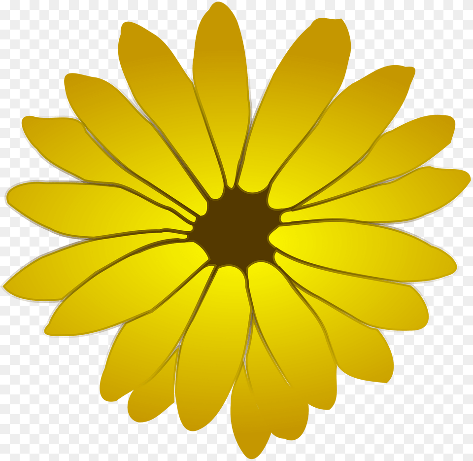 Yellow Clipart, Daisy, Flower, Petal, Plant Free Transparent Png