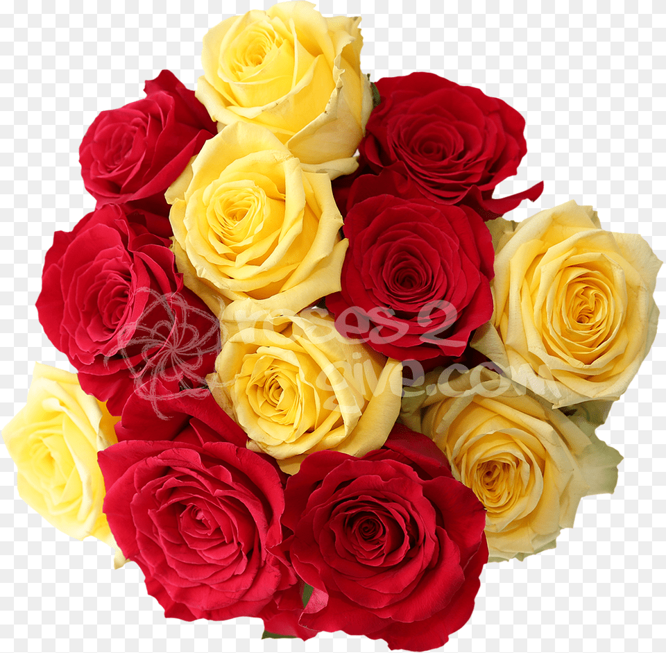 Yellow Combinationquottitlequotred Combination Of Red And Yellow Flowers, Flower, Flower Arrangement, Flower Bouquet, Plant Png Image