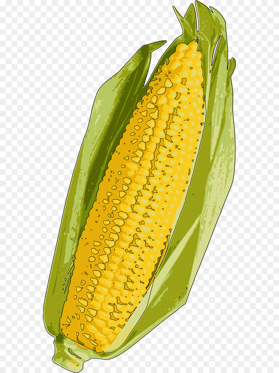 Yellow Corn, Food, Grain, Plant, Produce Free Transparent Png