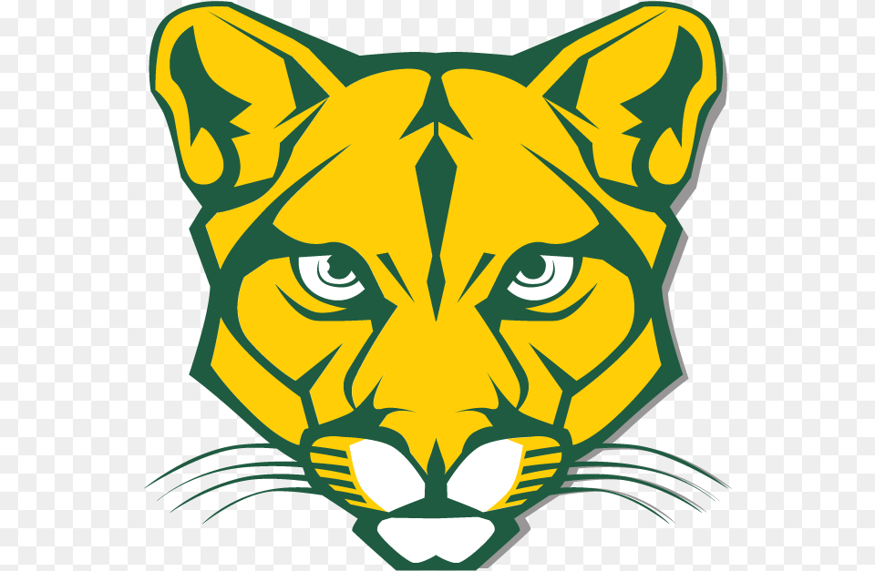 Yellow Cougar Head File Cougars Logo, Animal, Mammal, Bear, Wildlife Png