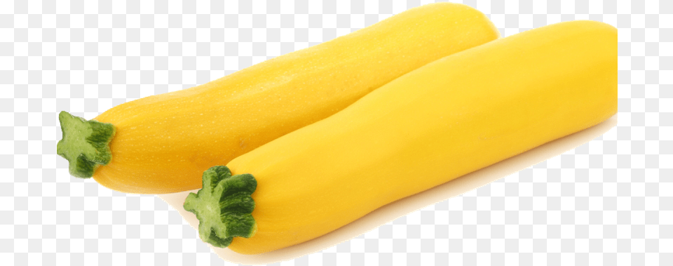 Yellow Courgettes Zucchini Yellow, Food, Plant, Produce, Squash Free Transparent Png