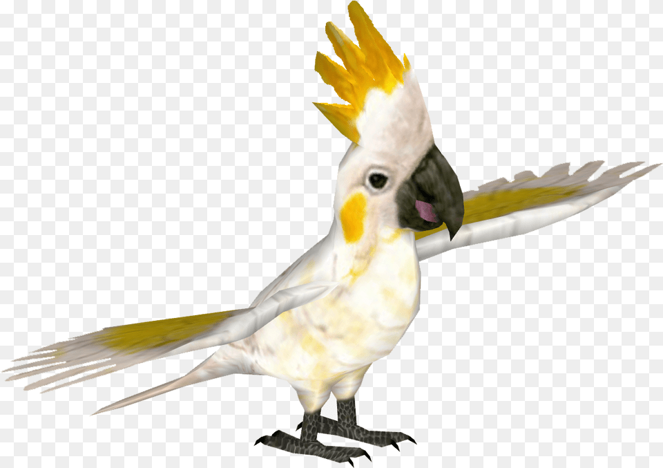 Yellow Crested Cockatoo, Animal, Bird, Parrot Png