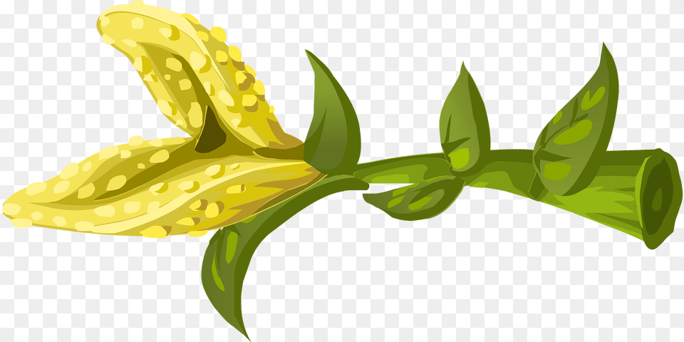 Yellow Crumb Fantasy Flower Clipart, Plant, Leaf, Device, Grass Png Image