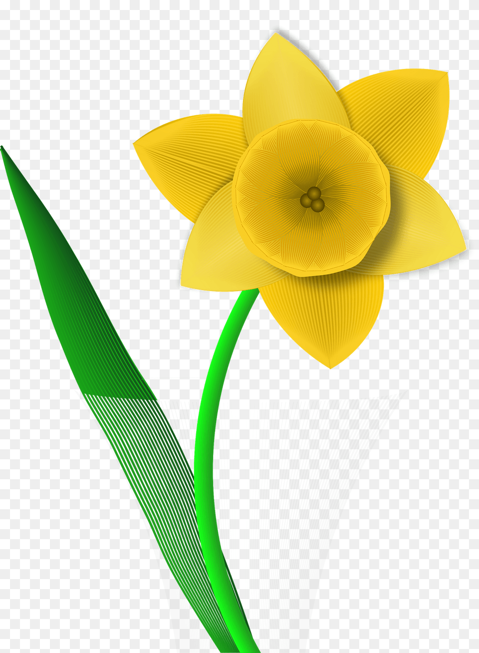 Yellow Daffodil Clipart, Flower, Plant Png Image