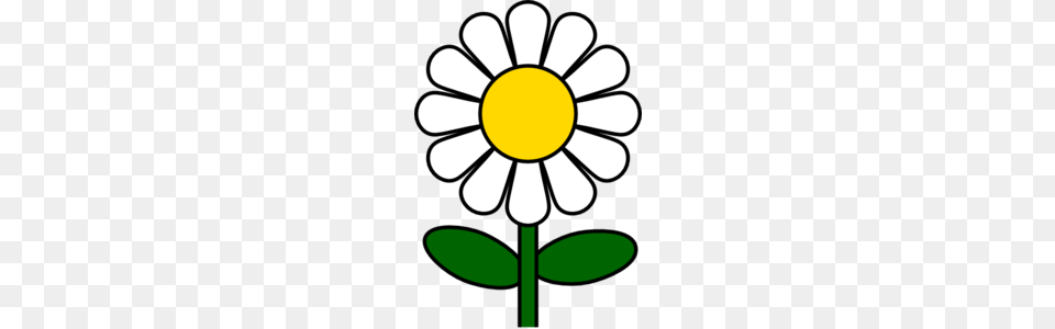 Yellow Daisy Microsoft Clipart, Flower, Plant Free Transparent Png