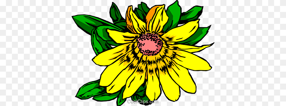 Yellow Daisy Royalty Vector Clip Art Illustration, Flower, Plant, Sunflower Png Image