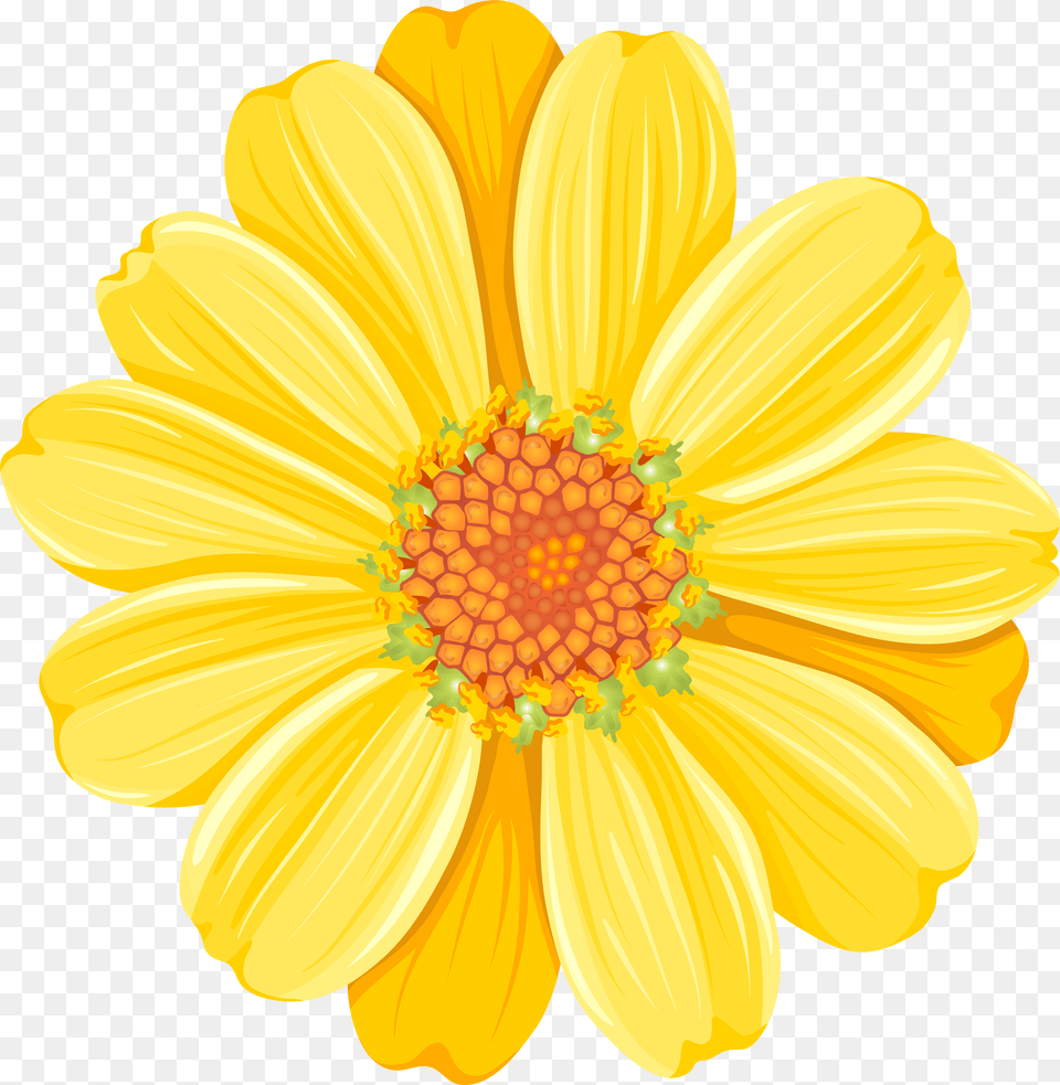 Yellow Daisy Transparent Clip Art Image Transparent Free Png Download