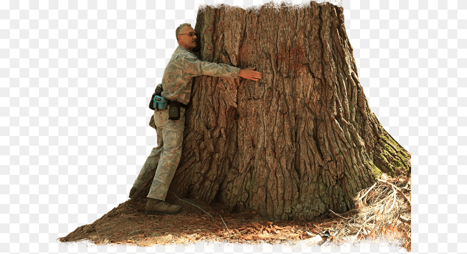 Yellow Dog Preserve Rochelle Dale Hugging Tree Tree Stump, Adult, Male, Man, Person Free Transparent Png