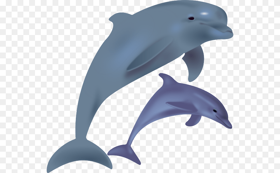 Yellow Dolphin Clip Art, Animal, Mammal, Sea Life, Fish Png Image