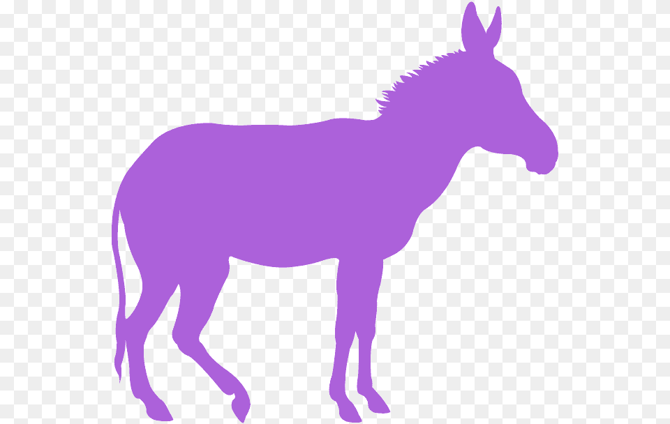 Yellow Donkey Clipart, Animal, Mammal, Horse Free Transparent Png