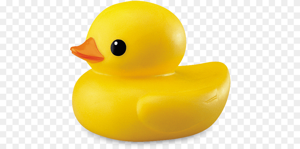 Yellow Duck Picture Transparent Background Duck, Animal, Bird Png